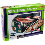 ANATOMIA DO GOLFINHO 4D VISION DOLPHIN ANATOMY MODEL 4D MASTER FAMEMASTER FME 26103